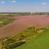 Revisão da lei dos solos