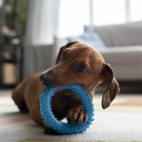 animais de estimação