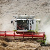 explorações agrícolas