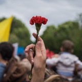 Revolução dos Cravos