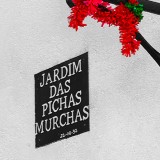 Jardim das Pichas Murchas
