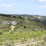 Casas nas vinhas portuguesas