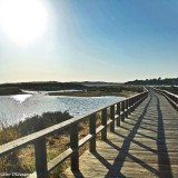Passadiços de Alvor