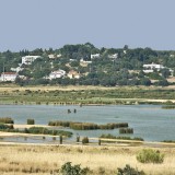 Lagoa dos Salgados