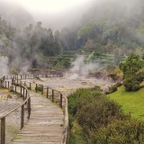 Furnas