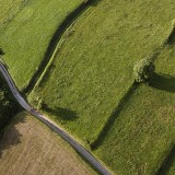 Terrenos ganham nova vida