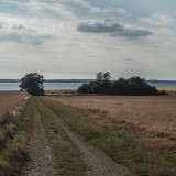 Terrenos em Portugal