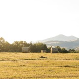 Lei dos solos alterada