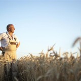 Construir casas em terrenos rústicos