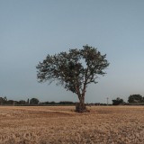 Terrenos rústicos para construir casas