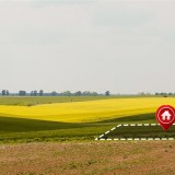 Revisão da lei dos solos no Parlamento