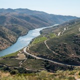 Douro Vinhateiro