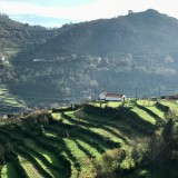 Centro de inovação agrícola nasce numa quinta devoluta