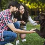 Assistência aos animais de estimação