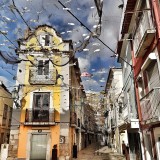 Lisbon Sardine Festival