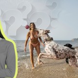Posso levar o cão à praia?