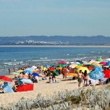 Projetos na Comporta