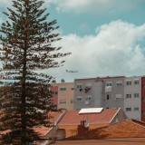 Imóveis do Estado concessionados a privados