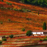 Le Portugal en automne