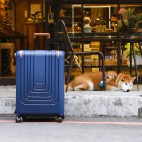 Cão deitado junto a uma mala