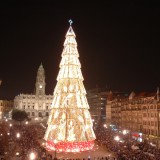 árvore de Natal na Avenida dos Aliados