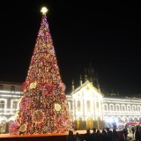 árvore de Natal em Braga
