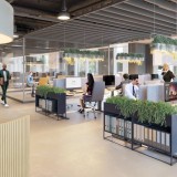 VIVA Offices