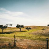terrenos em Portugal