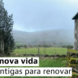 casa para restaurar