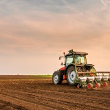 Agribusiness