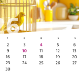 Calendário de junho