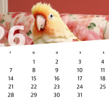 Calendário de julho