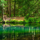 Lagoa da Esturranha