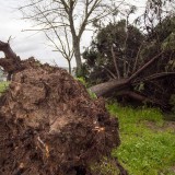 Tempestades em Portugal