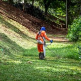 Limpeza de terrenos
