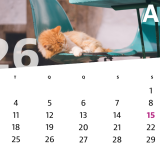 Calendário de agosto