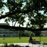Parque