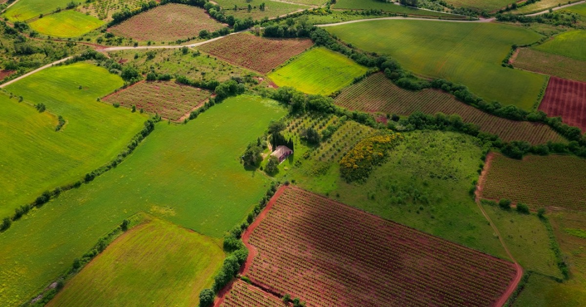 Featured image for article: A Step-by-Step Guide to Portugal's Property Cadastral Registration (BUPi)