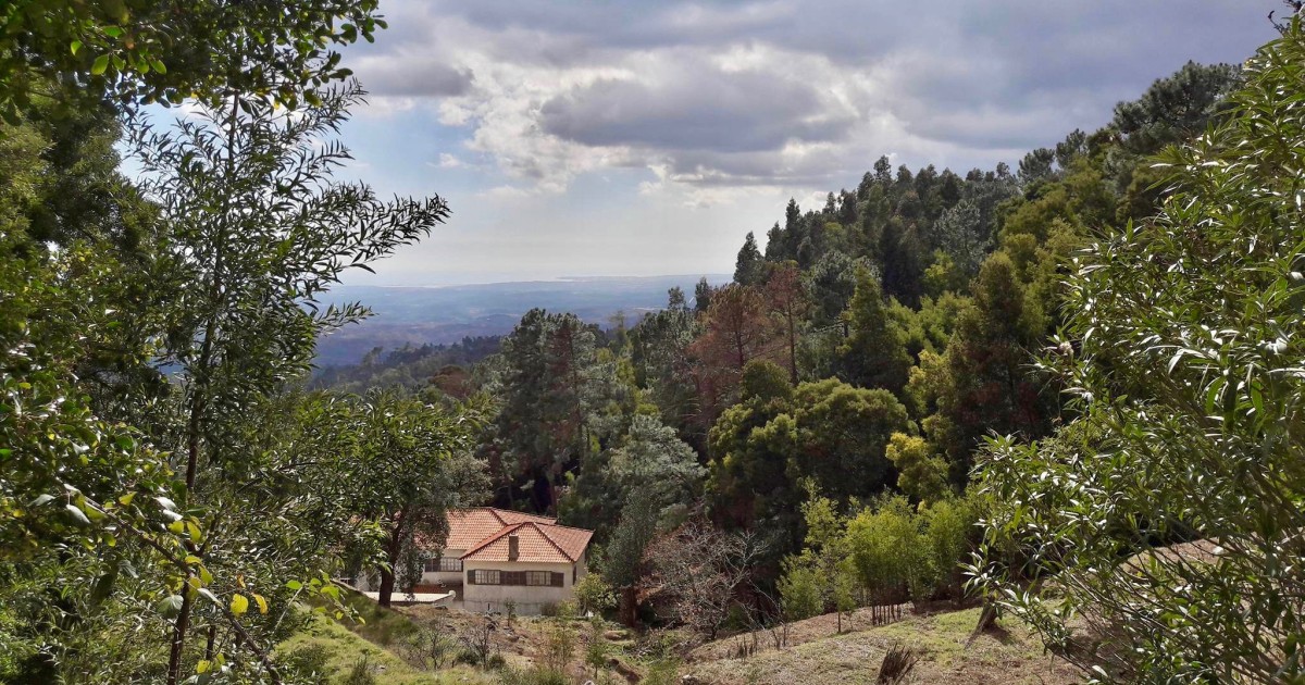 12 things to do in the Algarve away from the sunbeds