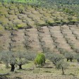 L'Alentejo, la région portugaise classée parmi les meilleures destinations gastronomiques du monde