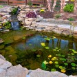 quanto custa fazer um lago no jardim