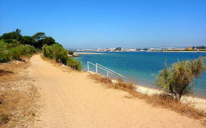 Tavira