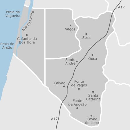 Mapa interactivo de zonas de interés para seleccionar la región donde quieres buscar