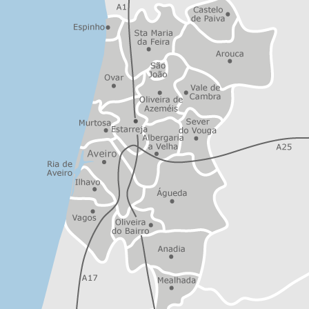 Mapa interactivo de zonas de interés para seleccionar la región donde quieres buscar