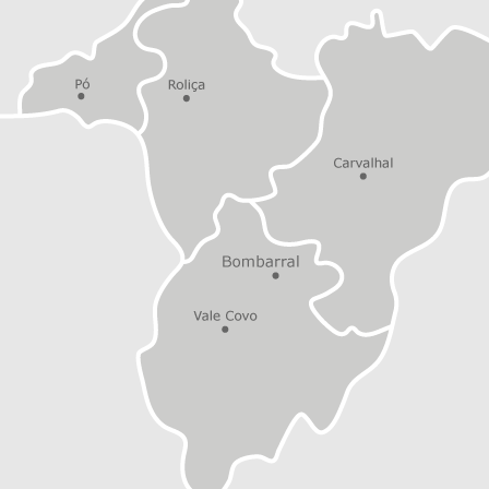 Mapa interactivo de zonas de interés para seleccionar la región donde quieres buscar