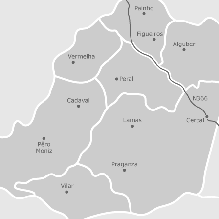 Mapa interactivo de zonas de interés para seleccionar la región donde quieres buscar