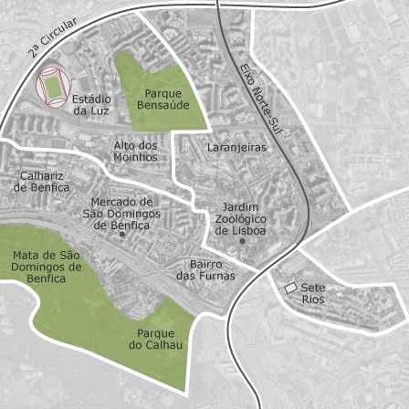 Mapa interactivo de zonas de interés para seleccionar la región donde quieres buscar