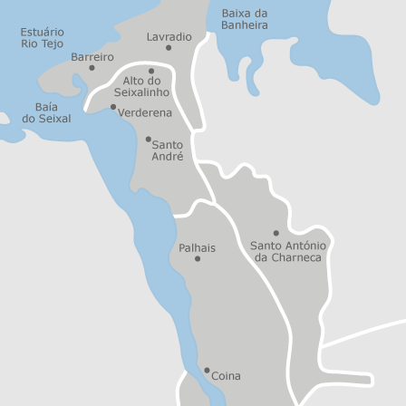 Mapa interactivo de zonas de interés para seleccionar la región donde quieres buscar