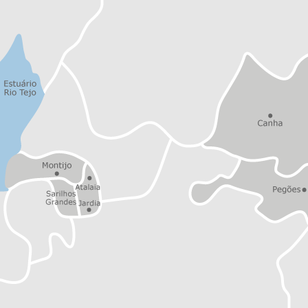 Mapa interactivo de zonas de interés para seleccionar la región donde quieres buscar